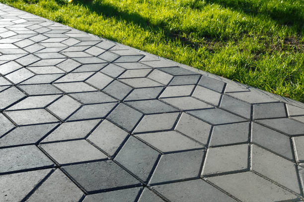 Best Professional Driveway Pavers  in Western Springs, IL